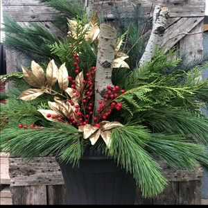 Meet your Posher, Dolores